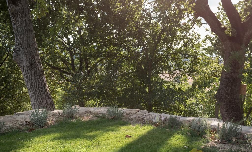 B&B Cantico Delle Creature Assisi Exterior foto